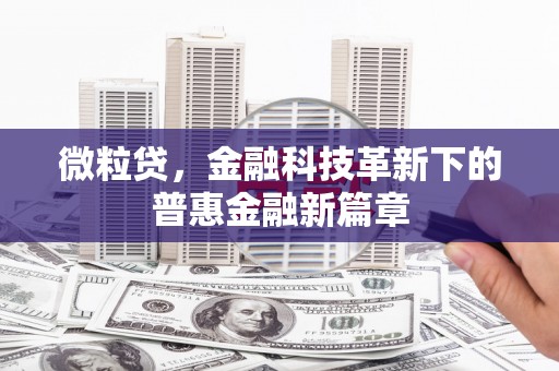 中坜微粒贷，金融科技革新下的普惠金融新篇章