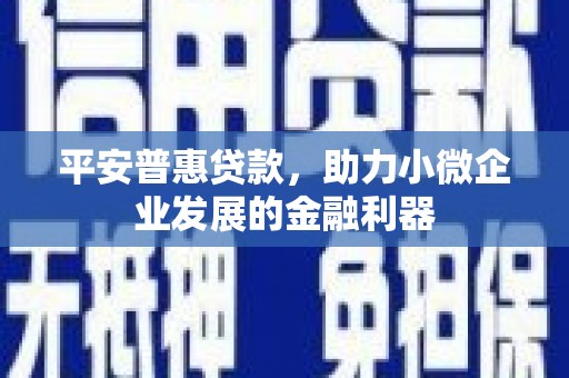中坜平安普惠贷款，助力小微企业发展的金融利器