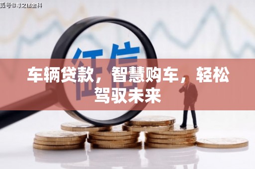 中坜车辆贷款，智慧购车，轻松驾驭未来