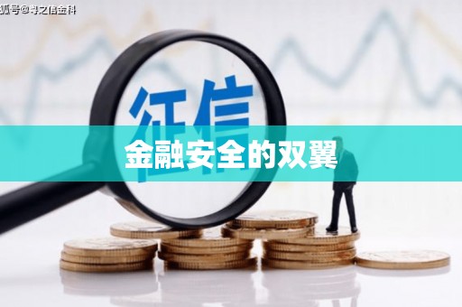 中坜金融安全的双翼