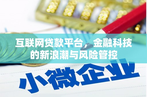 中坜互联网贷款平台，金融科技的新浪潮与风险管控