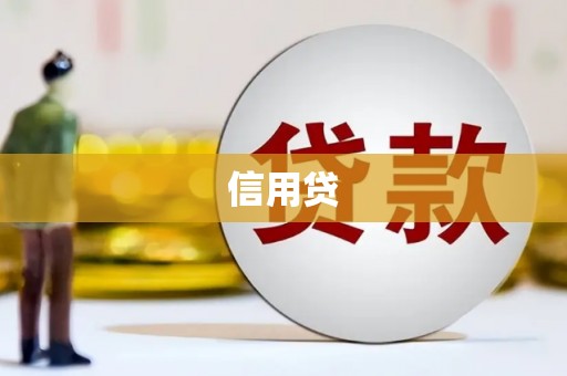 中坜信用贷