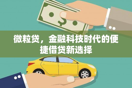 中坜微粒贷，金融科技时代的便捷借贷新选择