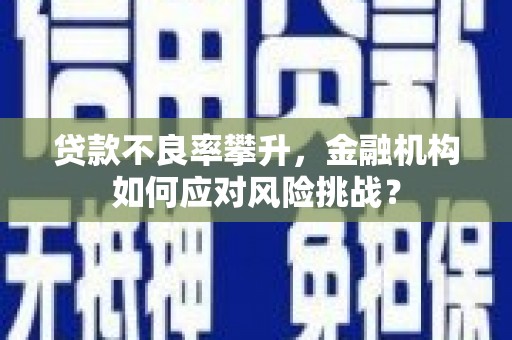 中坜贷款不良率攀升，金融机构如何应对风险挑战？
