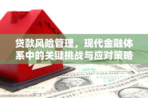 中坜贷款风险管理，现代金融体系中的关键挑战与应对策略
