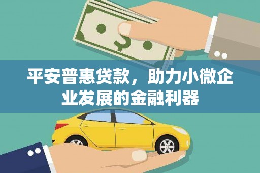 中坜平安普惠贷款，助力小微企业发展的金融利器