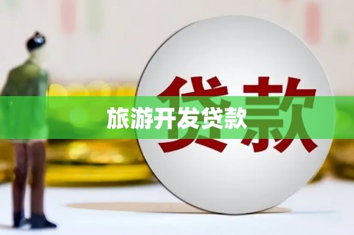 中坜旅游开发贷款