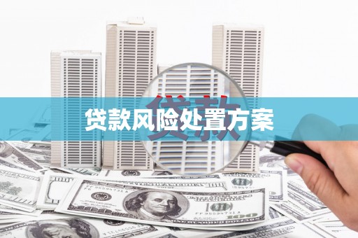 中坜贷款风险处置方案
