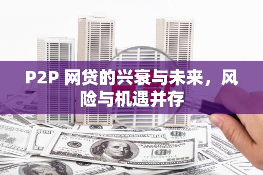 中坜P2P 网贷的兴衰与未来，风险与机遇并存