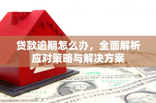 中坜贷款逾期怎么办，全面解析应对策略与解决方案