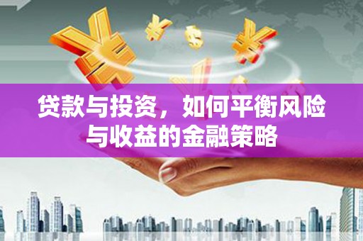 中坜贷款与投资，如何平衡风险与收益的金融策略