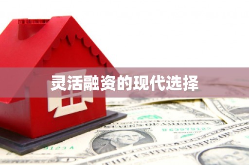 中坜灵活融资的现代选择
