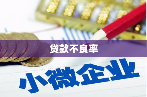 中坜贷款不良率