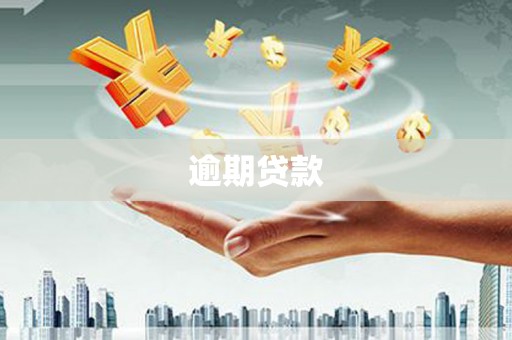 中坜逾期贷款