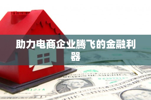 中坜助力电商企业腾飞的金融利器