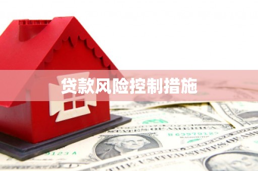 中坜贷款风险控制措施