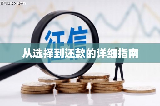 中坜从选择到还款的详细指南