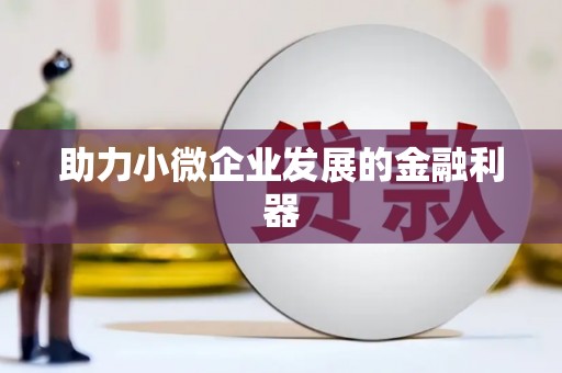 中坜助力小微企业发展的金融利器