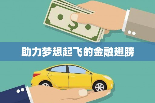 中坜助力梦想起飞的金融翅膀