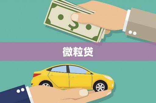 中坜微粒贷