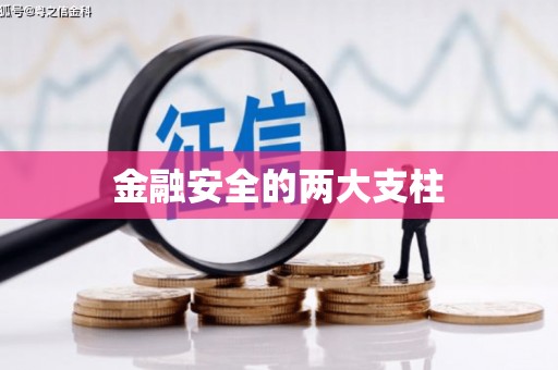 中坜金融安全的两大支柱