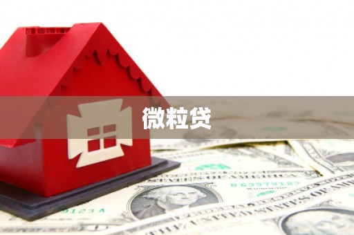 中坜微粒贷