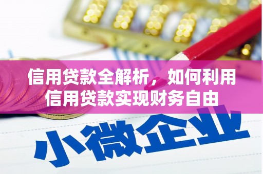中坜信用贷款全解析，如何利用信用贷款实现财务自由