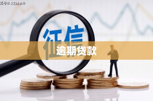 中坜逾期贷款