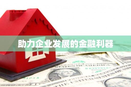 中坜助力企业发展的金融利器