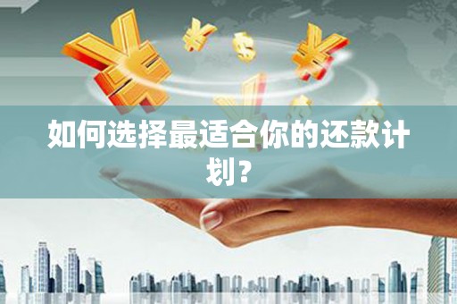 中坜如何选择最适合你的还款计划？