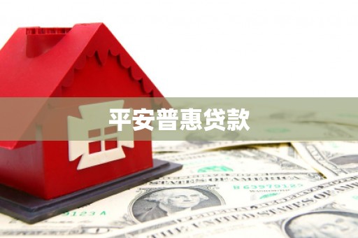 中坜平安普惠贷款