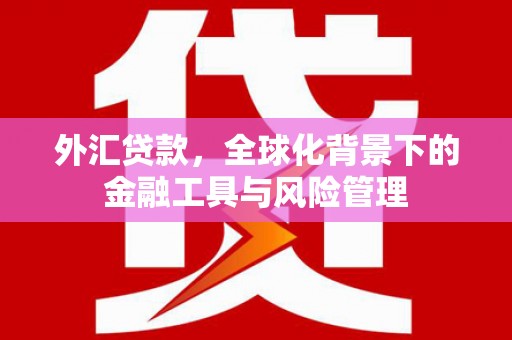 中坜外汇贷款，全球化背景下的金融工具与风险管理