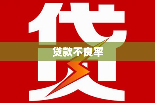 中坜贷款不良率