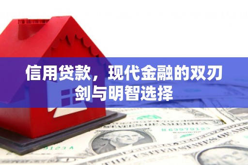 中坜信用贷款，现代金融的双刃剑与明智选择